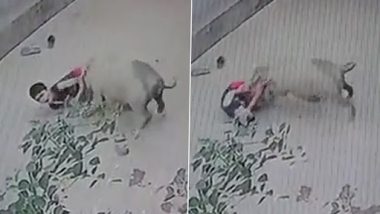 Pig Attack in Maharashtra: गोंदिया में सड़क पर खेल रहे बच्चे पर जंगली सूअर ने किया हमला, शॉकिंग वीडियो वायरल