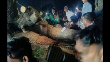 Maharashtra Tragedy: अकोला में बड़ा हादसा, मंदिर के परिसर में टिन के शेड पर पेड़ गिरने 7 की मौत, 30 से ज्यादा लोग जख्मी