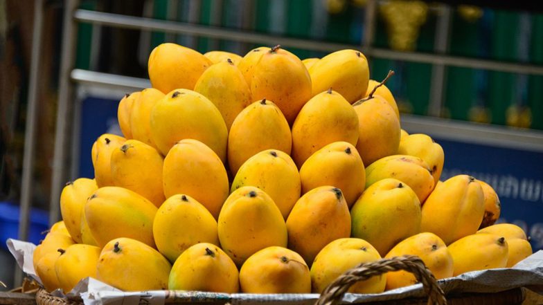 Sweet Mango: बिहार के जर्दालू का स्वाद चखेंगे अमेरिका, आस्ट्रेलिया के लोग