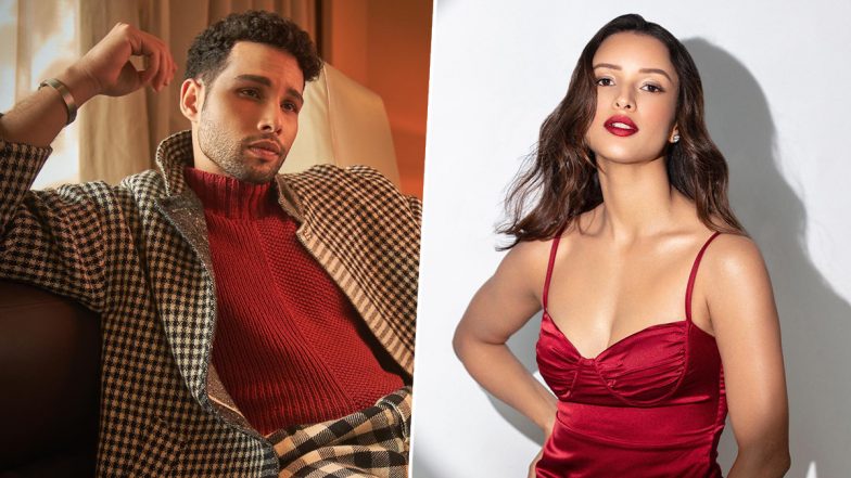 Dhadak 2: धड़क के सीक्वल में Siddhant Chaturvedi के साथ रोमांस करती दिखेंगी Tripti Dimri - रिपोर्ट