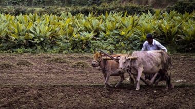 Good News For Farmers: नहीं बढ़ेंगे खाद के दाम, मोदी सरकार ने 1 लाख 8 हजार करोड़ की सब्सिडी बढ़ाई