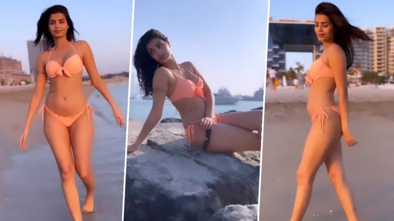 Sonali Raut ने हॉट पिंक बिकनी पहन दरिया किनारे लगाई आग, एक्ट्रेस के सेक्सी कर्व्स देख यूजर्स हुए घायल (Watch Video)