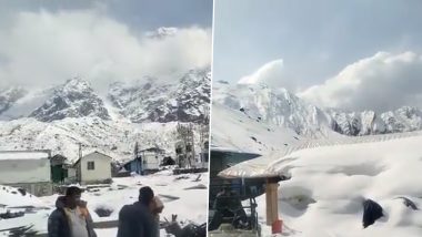 Snowfall in Kedarnath: केदारनाथ में नहीं रुक रहा बर्फबारी का सिलसिला, रजिस्ट्रेशन बंद; बर्फ से ढकी पूरी घाटी (Watch Video)