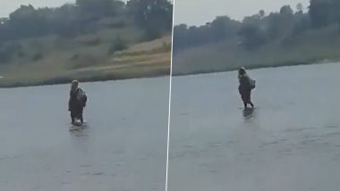 Woman Walking on Water: नर्मदा नदी के पानी पर चलती महिला का वीडियो वायरल, देवी समझ उमड़ी लोगो की भीड़; यहाँ जानें क्या है सच्चाई