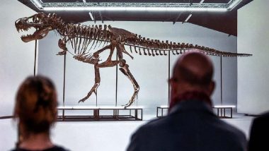 Tyrannosaurus Rex Dinosaur: 50 करोड़ रुपये में बिका खतरनाक शिकारी डायनासोर का कंकाल