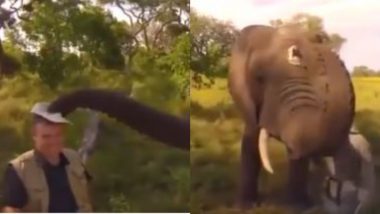 Viral Video: शख्स के सिर उतारकर हाथी ने पहनी टोपी, गजराज के स्वैग ने जीता सबका दिल