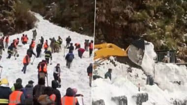 Sikkim Avalanche: सिक्किम में हिमस्खलन से 7 पर्यटकों की मौत, 350 को बचाया गया (Watch Video)