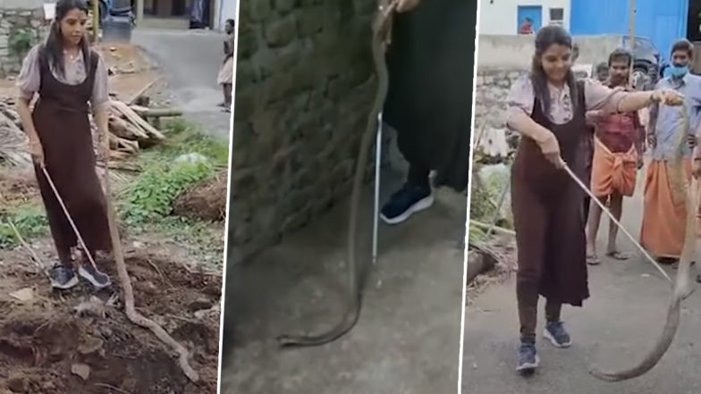 Snake Rescue: घर में घुस आया विशालकाय जहरीला सांप, महिला स्नैक कैचर ने ऐसे किया नागराज को रेस्क्यू (Watch Viral Video)