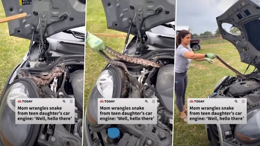 Mom Remove Giant Snake From Car: मां ने अपनी बेटी की कार से निकाला विशालकाय सांप, डरावना वीडियो वायरल