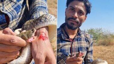 Snake Video: रेस्क्यू के दौरान सांप ने शख्स की कलाई को भर लिया अपने जबड़े में, खतरनाक वीडियो वायरल