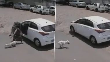 Woman Abandons Pet Dog: महिला ने पालतू कुत्ते को सड़क पर छोड़ा, हार्ट ब्रेकिंग वीडियो वायरल