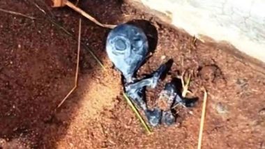 Alien Found Dead in Bolivia? हुआरिना गांव में यूएफओ देखे जाने के बाद स्थानीय लोगों ने खोजा 'मिस्ट्री क्रिएचर' का शव, बाद में रहस्यमय ढंग से हुआ 'गायब' (देखें वीडियो)