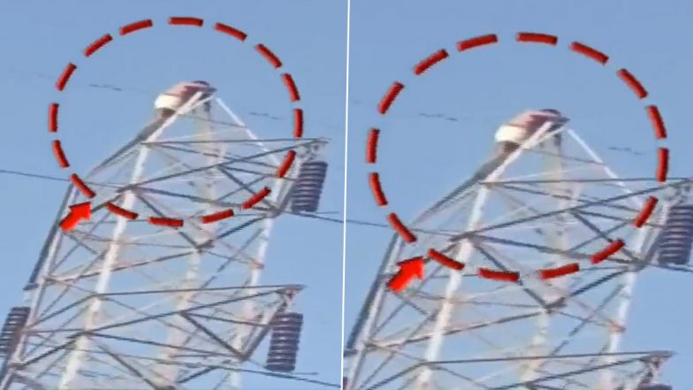 Man Climbed on Electric Pol: गया में सिरफिरा 100 फीट लंबे बिजली के पोल पर चढ़ा, जिंदा तारों को कर रहा छूने की कोशिश, देखें वीडियो