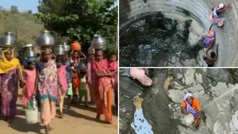 Video: नासिक में पेठ के एक गांव में पानी की किल्लत, पानी लाने के लिए तेज धूप में कुएं में उतरती हैं महिलाएं
