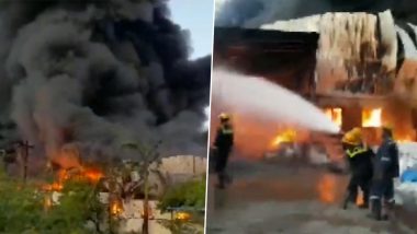 Gujarat Fire Video: खेड़ा जिले के गोबलेज गांव में प्लास्टिक फैक्ट्री में लगी भीषण आग, आग बुझाने का काम जारी