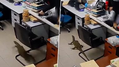 Monitor Lizard in Office: ऑफिस में घुसी विशाल मोनिटर छिपकली, डर के टेबल - कुर्सियों पर चढ़े लोग, देखें वीडियो