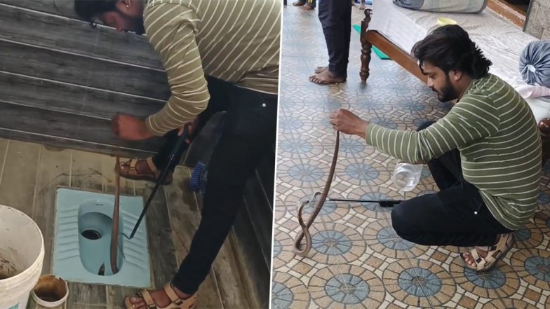 Snake In Toilet: टॉयलेट के अंदर छिपकर बैठा था खतरनाक कोबरा, ऐसे निकाला बाहर