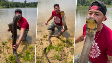 Man Kissing Dangerous Cobra: खतरनाक कोबरा को किस करते शख्स का क्लिप वायरल, कमजोर दिल वाले न देखें वीडियो