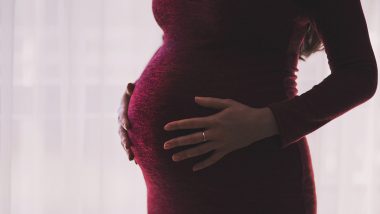 Maternity Leave: प्राइवेट और पब्लिक सेक्टर में मैटरनिटी अवकाश को बढ़ाकर 9 महीने करने पर विचार करना चाहिए: नीति आयोग