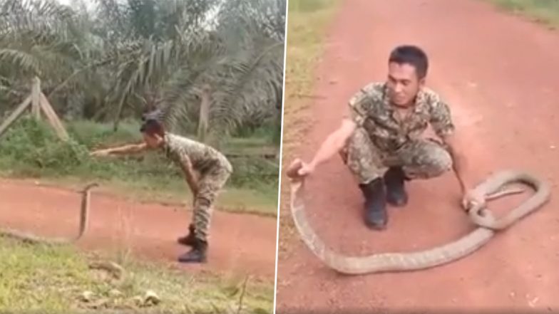 Man Catches Huge Cobra: शख्स ने नंगे हाथों से पकड़ा विशाल कोबरा, देखें दिल दहला देने वाला वीडियो