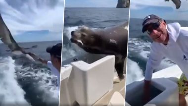 Greedy Seal: मछली चुराने के लिए सील ने चलती नाव एक अंदर लगाई छलांग, देखें वायरल वीडियो