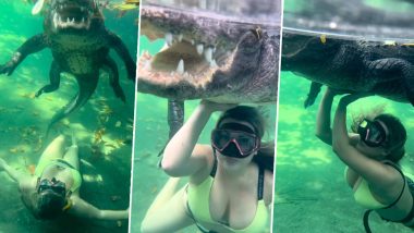 Woman Swims With Alligator: मगरमच्छ के साथ पानी के अंदर गोता लगा रही महिला का क्लिप वायरल, इंटरनेट पर लोग हैरान
