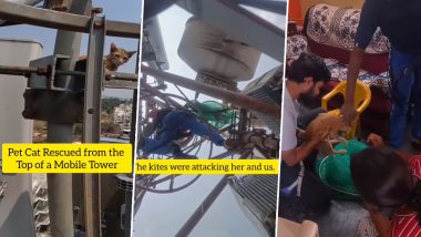 Video: बेंगलुरू में मोबाइल टावर की उंचाई पर चढ़ी बिल्ली, बड़ी मुश्किल से किया गया रेस्क्यू, देखें वीडियो