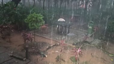 Bengaluru Heavy Rain: कर्नाटक के बेंगलुरु में फिरमुसलाधार बारिश, पड़े ओले (Watch Video)