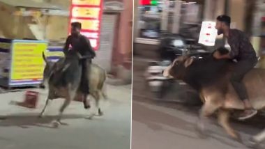 बैल की सवारी करते शख्स को देख लोग हुए हैरान, दिलचस्प वीडियो हुआ वायरल (Watch Viral Video)