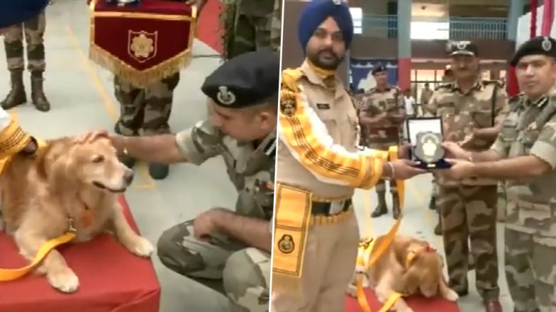 CISF Dogs Retire After 8 Years: आठ साल बाद सेवा से रिटायर हुए सीआईएसएफ के तीन खोजी कुत्ते, देखें सम्मान समारोह का Video