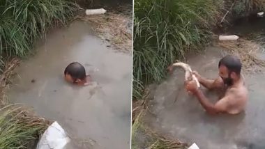 पानी के अंदर डुबकी लगाकर शख्स ने दोनों हाथों से पकड़ी मछली, चेहरे पर गजब की मुस्कान लेकर निकला बाहर (Watch Viral Video)