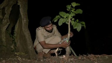 Gujarat Leopard Census: गुजरात के डांग में आधुनिक उपकरण के जरिए तेंदुए की गणना (Watch Video)