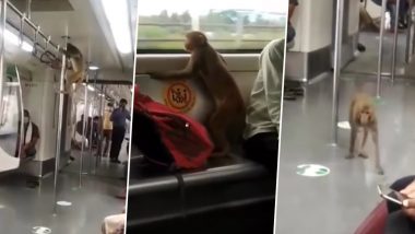 Monkey in Delhi Metro: दिल्ली मेट्रो में बंदर ने किया पोल डांस, अपनी हरकतों से किया यात्रियों को हैरान (Watch Video)