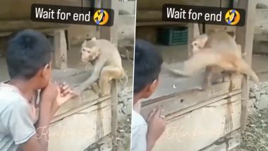 Monkey Kicks Boy: बॉक्सिंग करने की कोशिश कर रहा था लड़का, बंदर ने मारी ऐसी किक कि याद आ गई नानी (Watch Video)