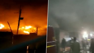 Pune Fire: महाराष्ट्र के पुणे में कागज की अलमारी के गोदाम में सुबह तड़के लगी आग, कड़ी मशक्कत के बाद पाया गया काबू (Watch Video)