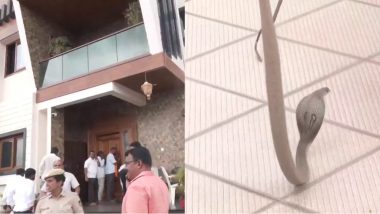 Snake Found In BJP Office: कर्नाटक के बीजेपी ऑफिस में निकला सांप, सीएम बसवराज बोम्मई भी थे वहां मौजूद, देखें VIDEO