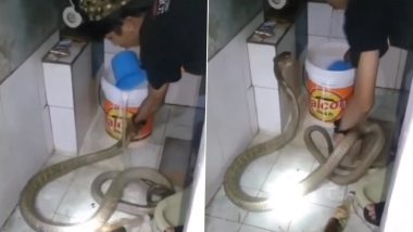 Snake Takes Bath: जहरीले सांप को ठंडे पानी से नहलाता दिखा शख्स, लोगों के होश उड़ा रहा है यह Viral Video