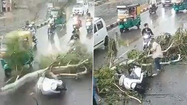 Shocking Video: राजस्थान के जोधपुर में चलती स्कूटी पर गिरा पेड़, 3 घायल