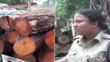 Timber Smuggling In Pushpa Style: ओडिशा में पुष्पा स्टाइल में लकड़ियों की हो रही थी चोरी, वन विभाग की टीम ने धर दबोचा (Watch Video)