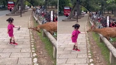 छोटी से बच्ची ने पहले झुककर हिरण को दिया सम्मान, फिर उसे खाना किया ऑफर, क्यूटनेस पर फिदा हुए लोग (Watch Viral Video)