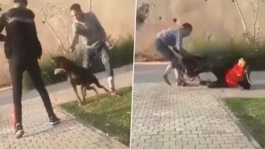 कुत्ते को मारने वाले शख्स को तुरंत मिली कर्मों की सजा, गुस्साए जानवर ने दौड़ा-दौड़ा कर ऐसे सिखाया सबक (Watch Viral Video)