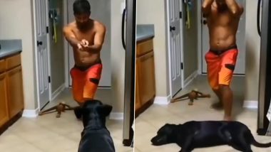 कमाल का ड्रामेबाज है यह पालतू कुत्ता, मरने की एक्टिंग से कर दिया सबको हैरान (Watch Viral Video)