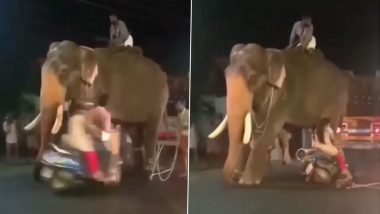 Viral Video: सड़क किनारे खड़े विशालकाय हाथी को महिला ने स्कूटी से मारी टक्कर, डरकर भागने पर मजबूर हुए गजराज