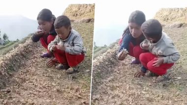 Viral Video: खेत में कीड़ों को मजे से खाते भाई-बहन का वीडियो वायरल, नजारा देख हैरान हुए लोग