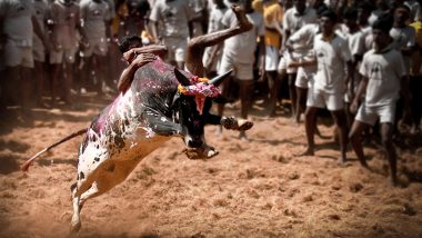 SC on Jallikattu: जल्लीकट्टू की कानूनी वैधता बरकरार, सुप्रीम कोर्ट ने तमिलनाडु के नियमों को ठहराया सही