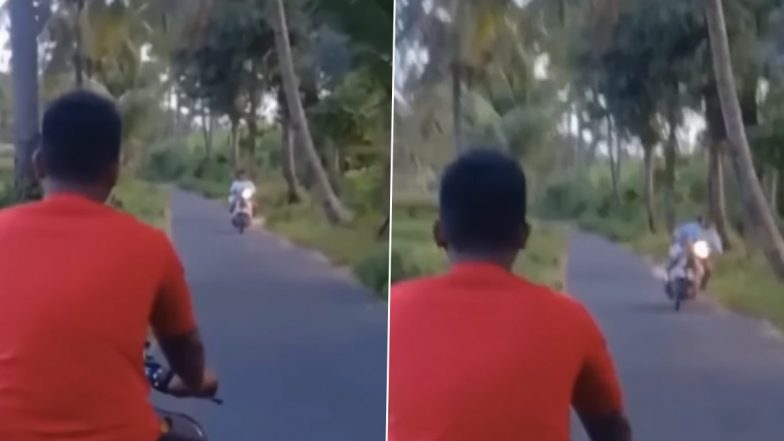 बगैर हेलमेट के बाइक चला रहा था शख्स, तभी अचानक से सिर पर गिरा नारियल और फिर... (Watch Viral Video)