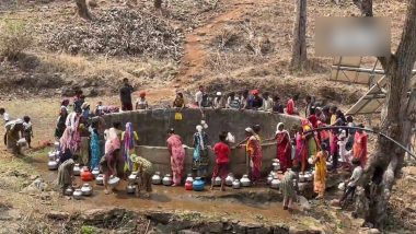 Nashik Water Crisis: नासिक में गहराया जल संकट, पानी के लिए जान जोखिम में डाल रहे ग्रामीण (Watch Video)