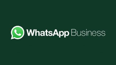 WhatsApp होगा महंगा! इस दिन से Business वर्जन पर लागू होगी नई कीमत, क्या होगा इसका असर?