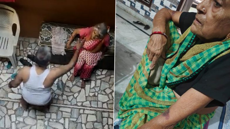 Noida Shocker: प्रॉपर्टी विवाद को लेकर शख्स ने बूढ़ी मां पर बेरहमी से किया हमला, कैमरे में कैद हुई घटना