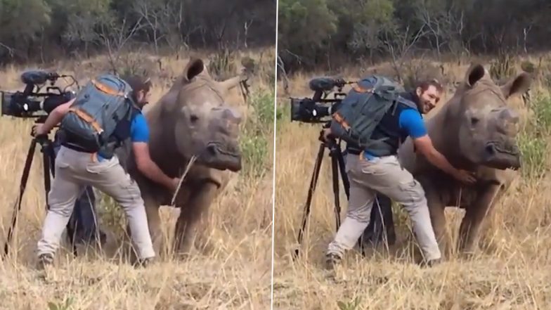 Viral Video: गैंडे को आया गुस्सा तो उसे मसाज देने लगा फोटोग्राफर, पल भर में शांत हो गया जानवर